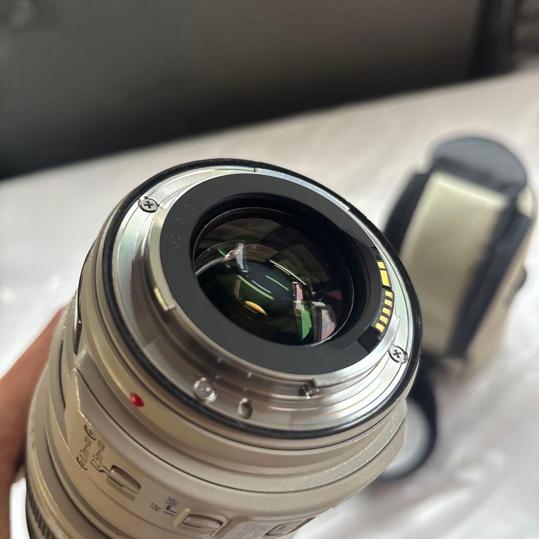 Canon EF 28-300mm F3.5-5.6L IS USMレンズセット