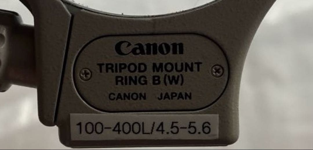 Canon EF 28-300mm F3.5-5.6L IS USMレンズセット