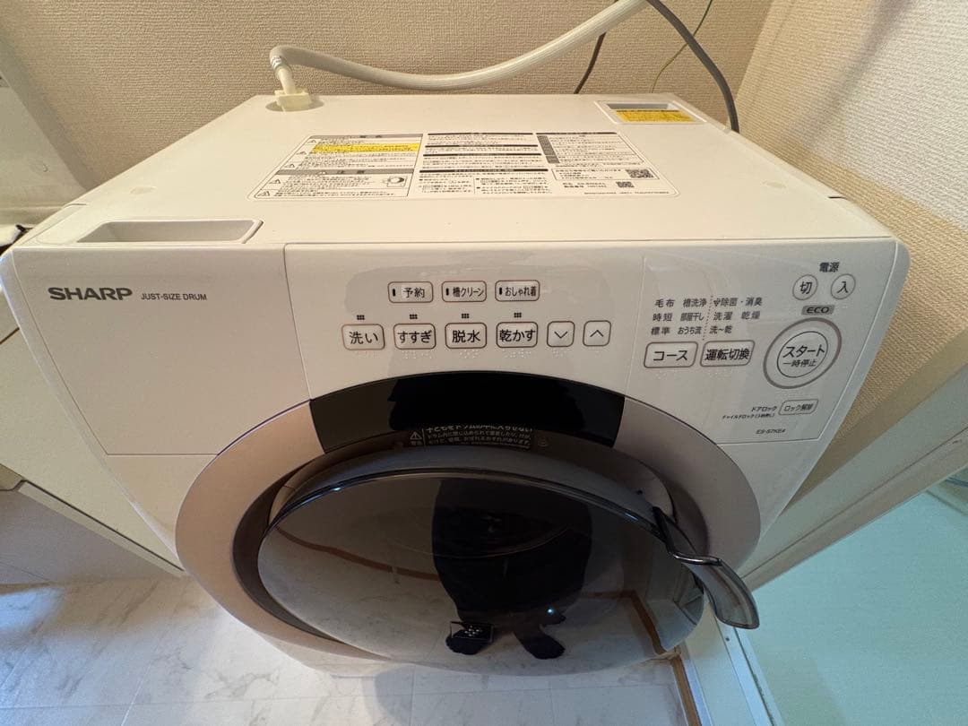 【使用1ヶ月】SHARP ドラム式洗濯機本体 乾燥機能付