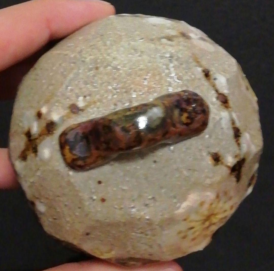 Romi　田端志音作　乾山　花図　香合　共箱　栞付　茶道具