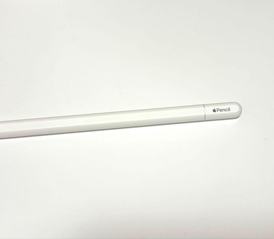 Apple Pencil (USB-C) 本体のみ