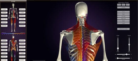 半額以下に割引　姿勢分析カメラ　3D 姿勢分析 Peek a body