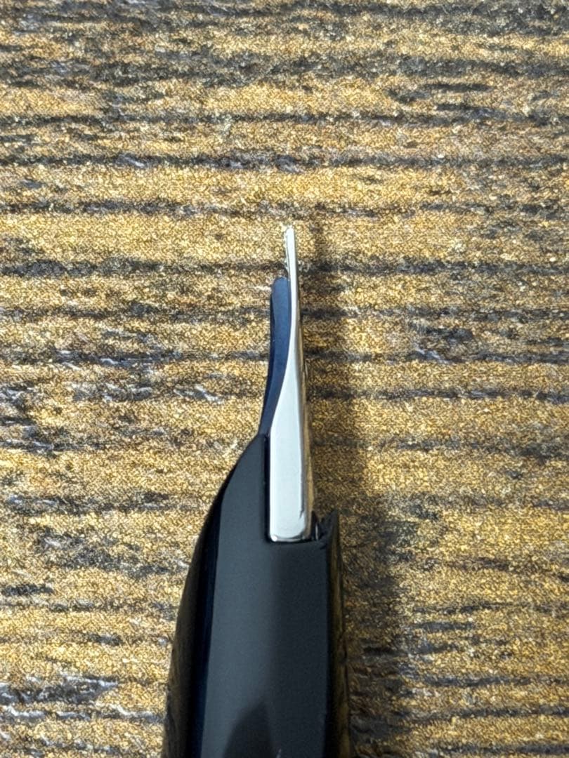 筆記確認&洗浄済　1975年製　全蝕刻　エリート　18金　F パイロット　万年筆