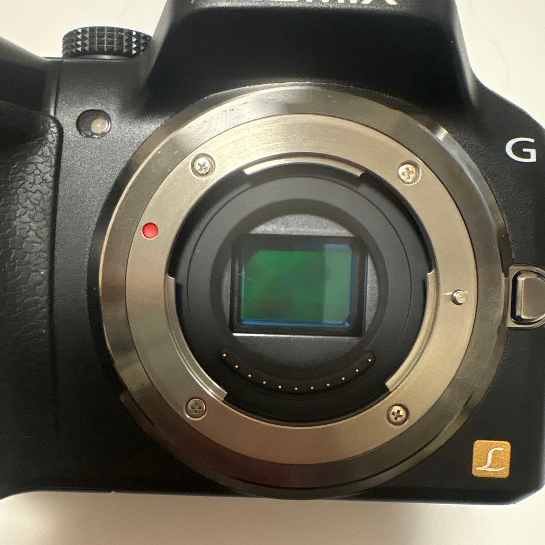 LUMIX DMC-G5 ミラーレス一眼 バッテリーチャージャー付き