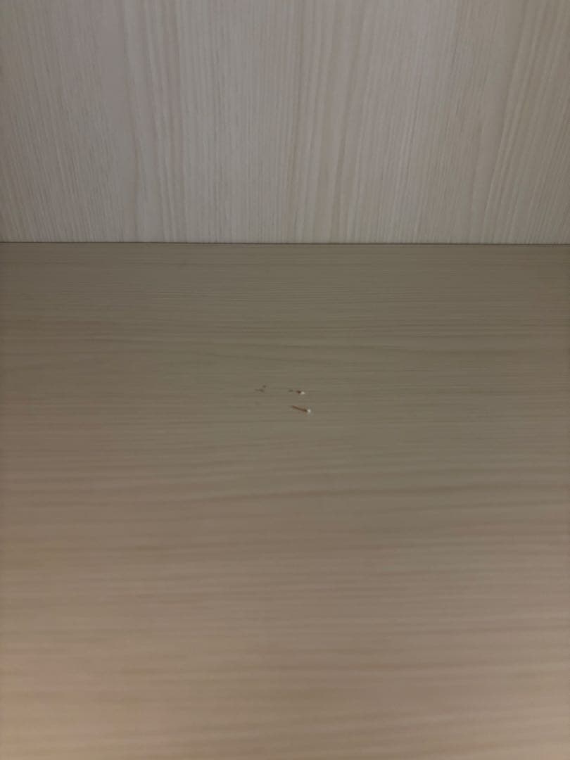 ニトリ 本棚(可動式棚)