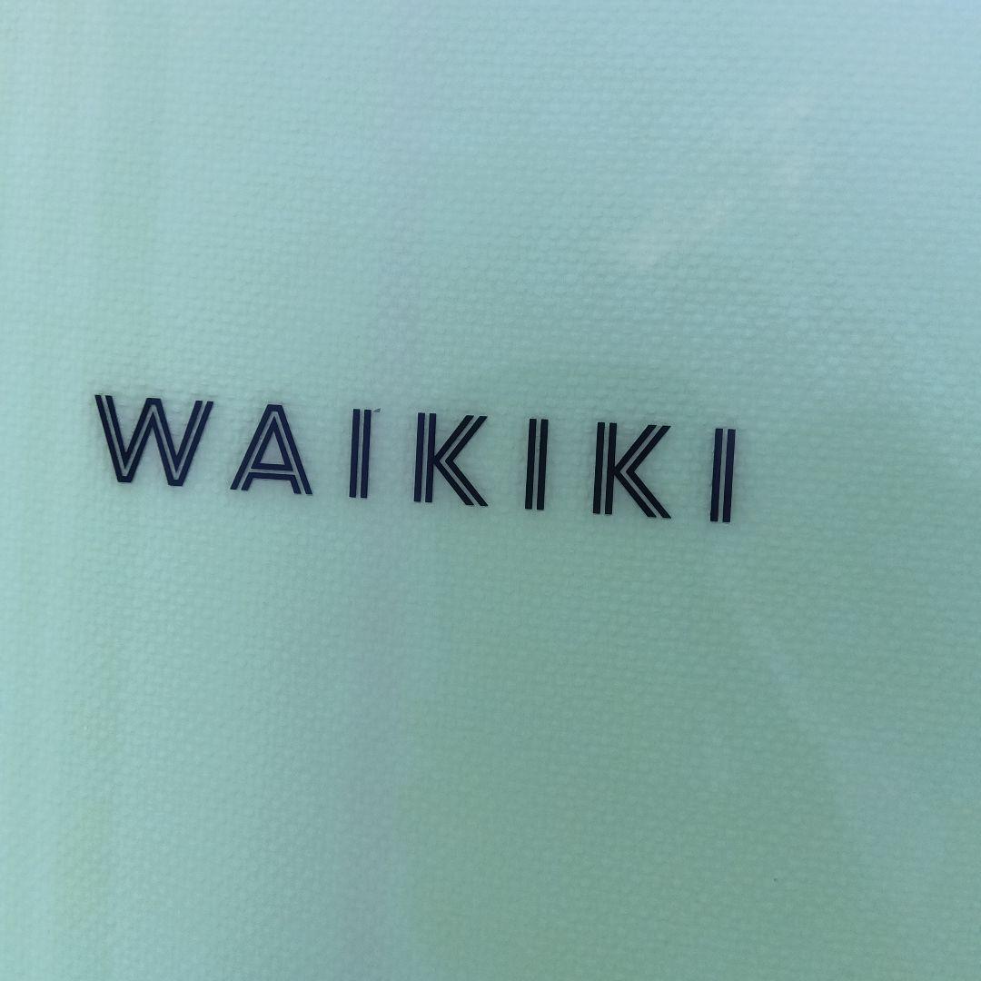 サンダーボルト　　　　KAI SAJLASワイキキ　　 ロングボード 手渡し限定