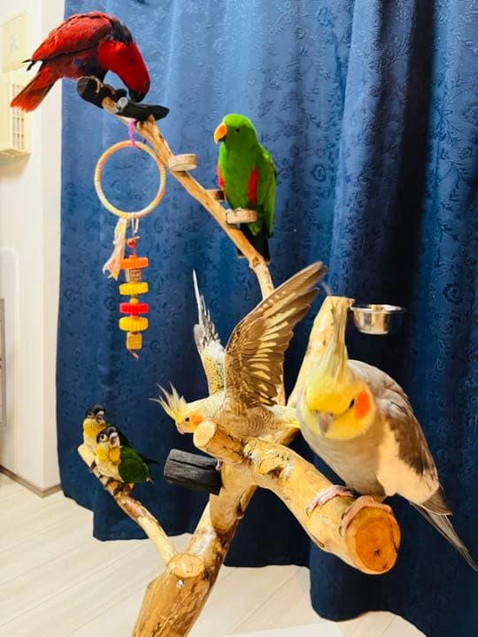 150cmハンドメイドバードアスレチック 鳥インコ止まり木 小型 中型 大型兼用