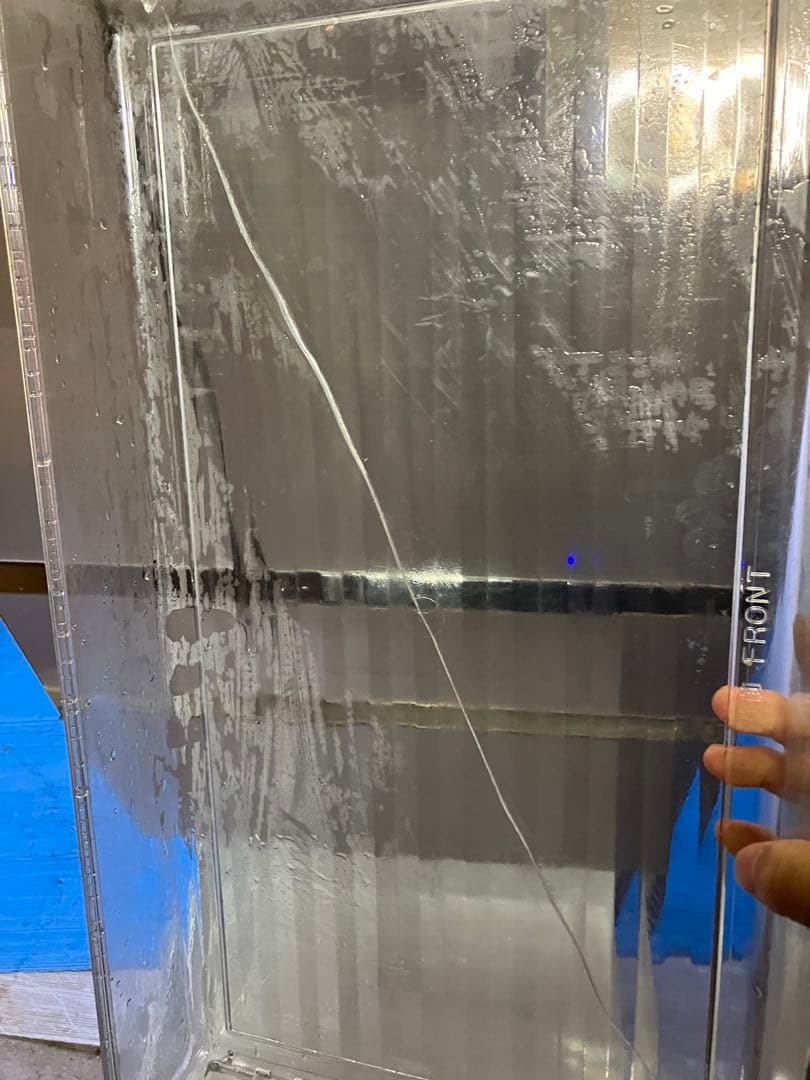 wisteria Near 11/16配達予定