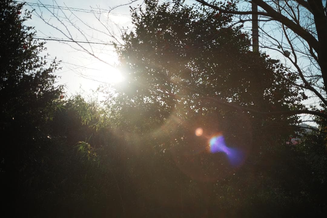 【この値段でライカ級】富岡光学製 XR RIKENON 50mm F2 490