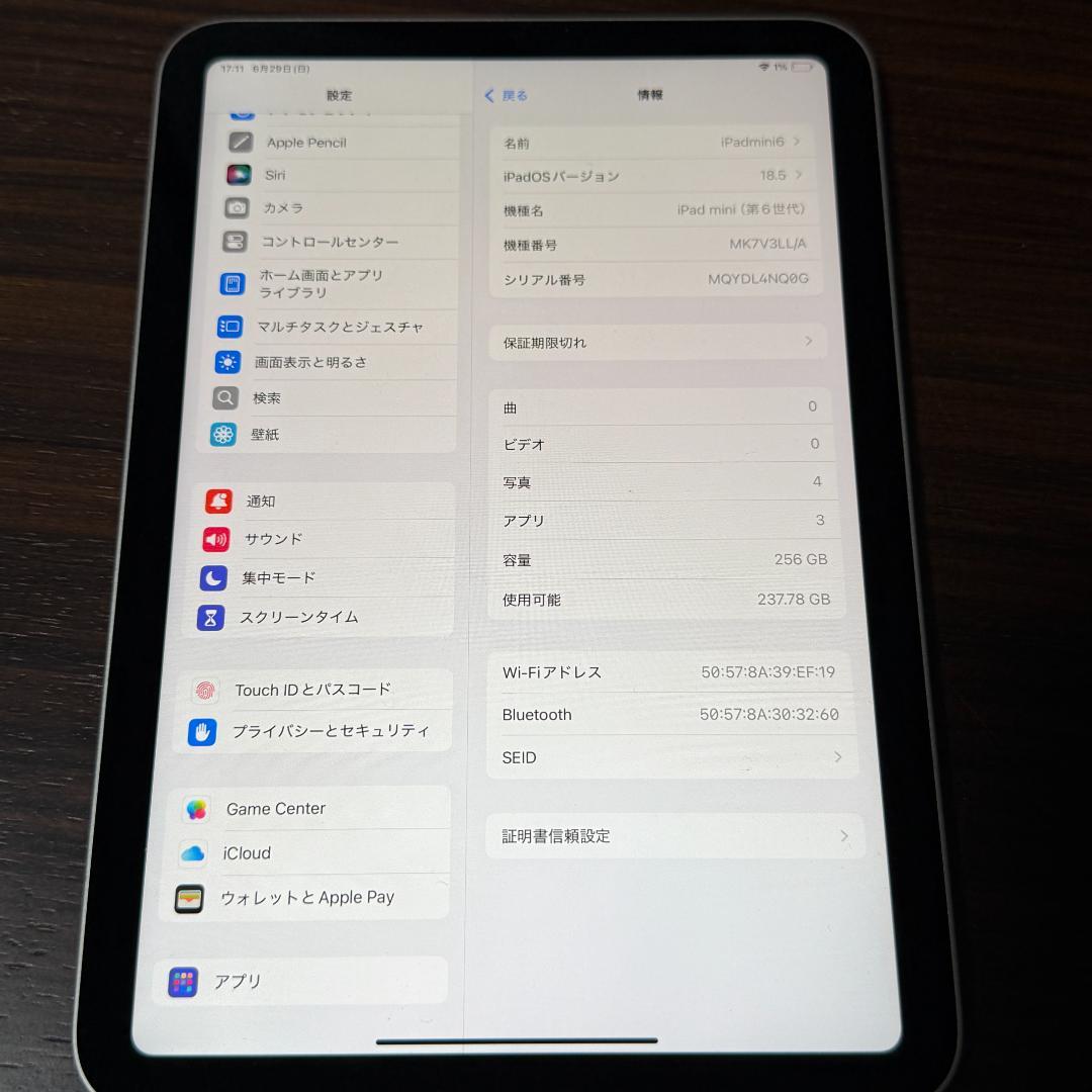 【バッテリー残量100％】iPad mini 第6世代 スターライト 256GB
