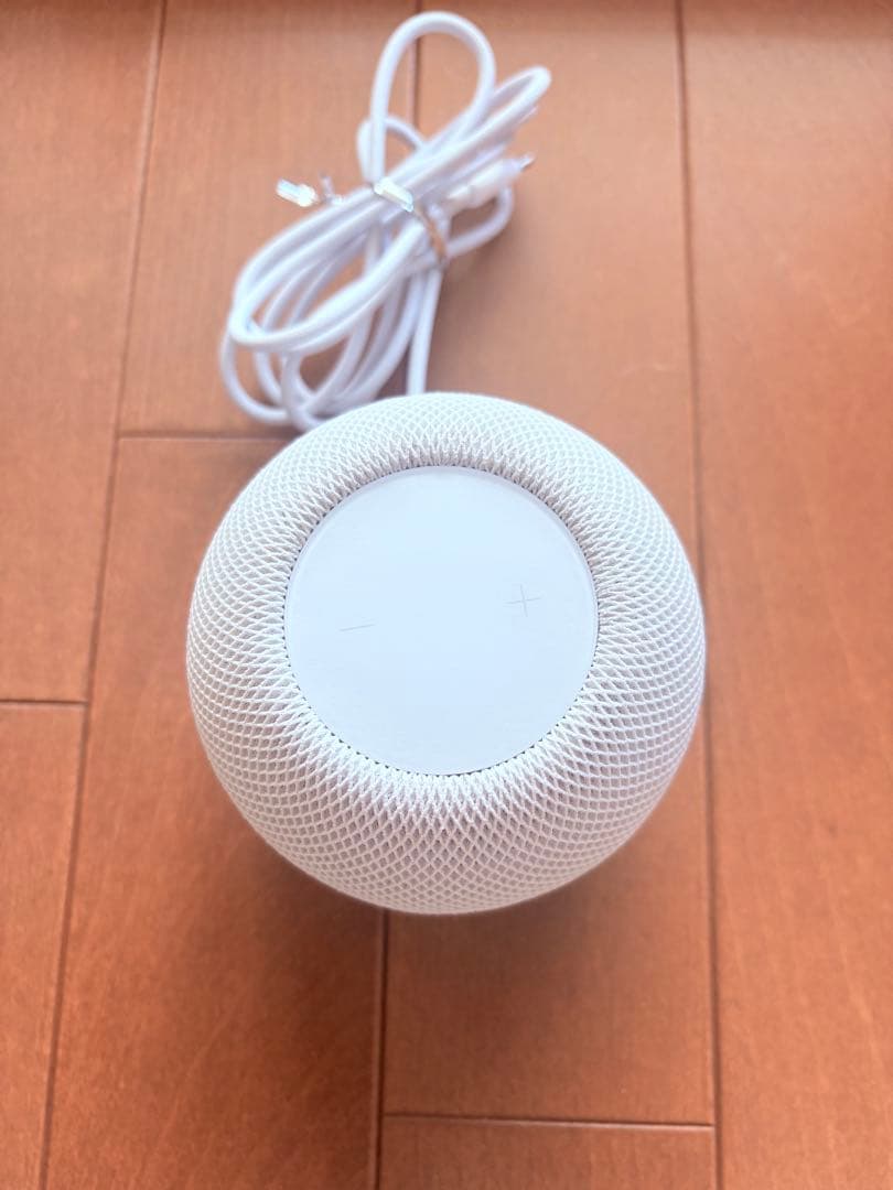 Apple Pod mini箱あり