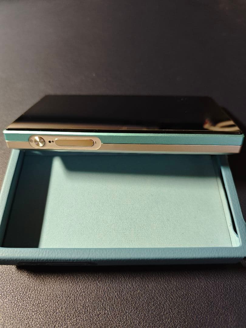 美品 FiiO JM21 Blue　ケース付き