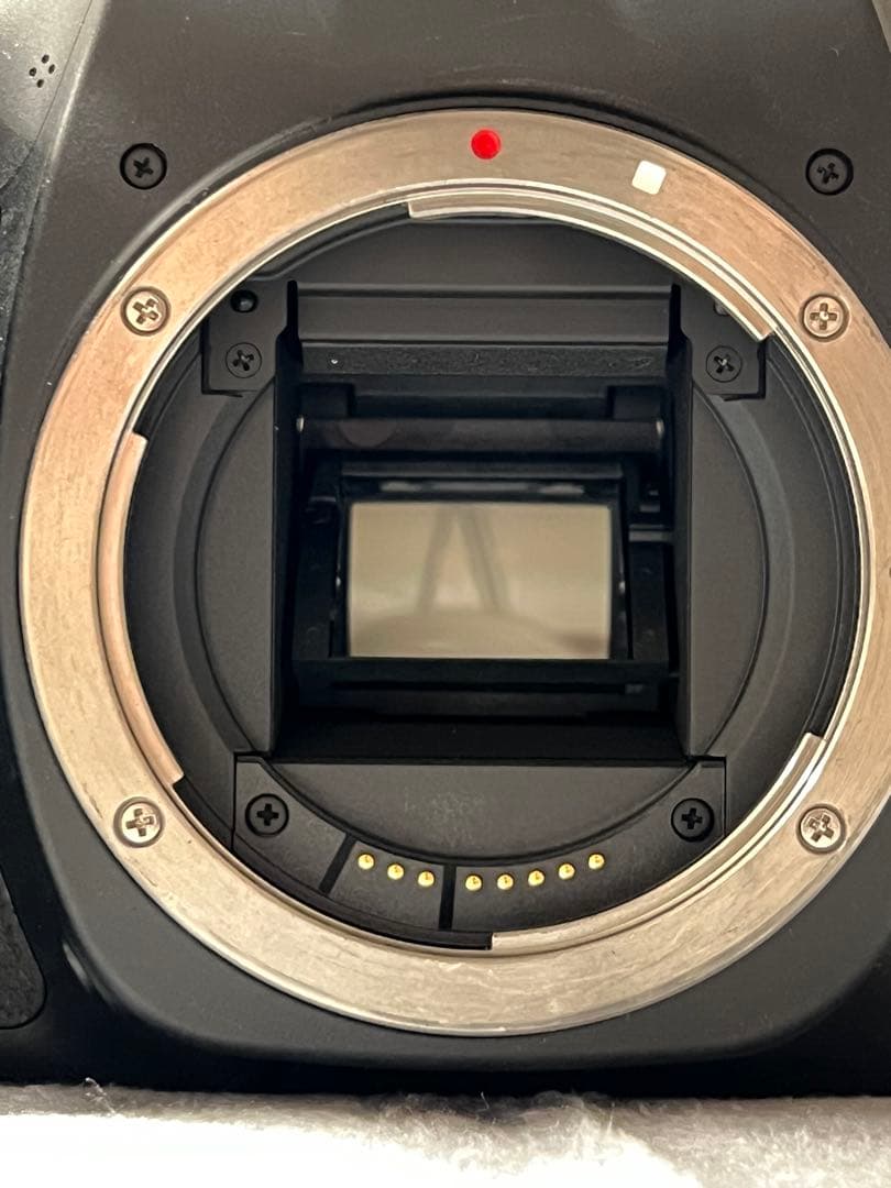 Canon EOS 80D ボディ