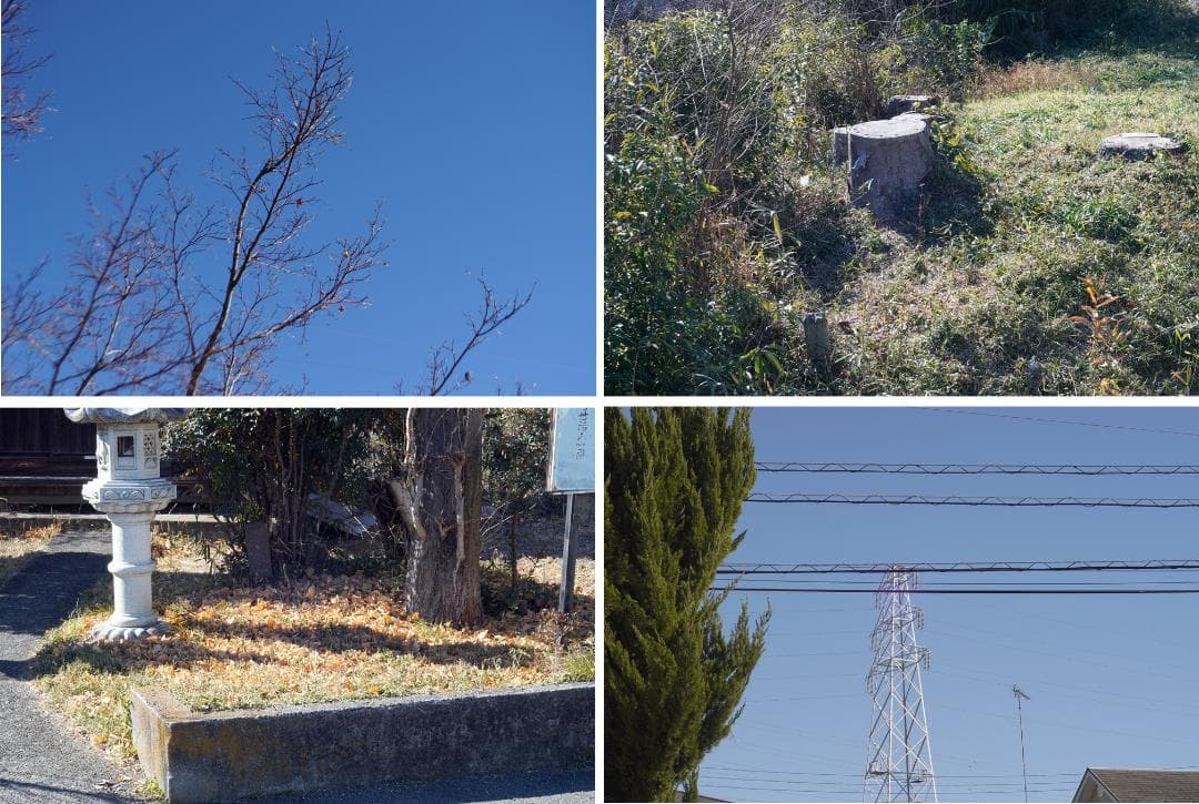 オリンパス OM-2 OM-SYSTEM G.ZUIKO 50mm F.1.4