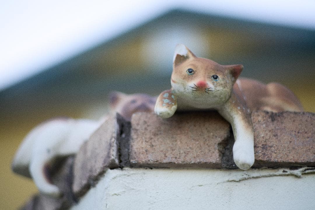 光学綺麗 Nikon New NIKKOR 85mm F1.8