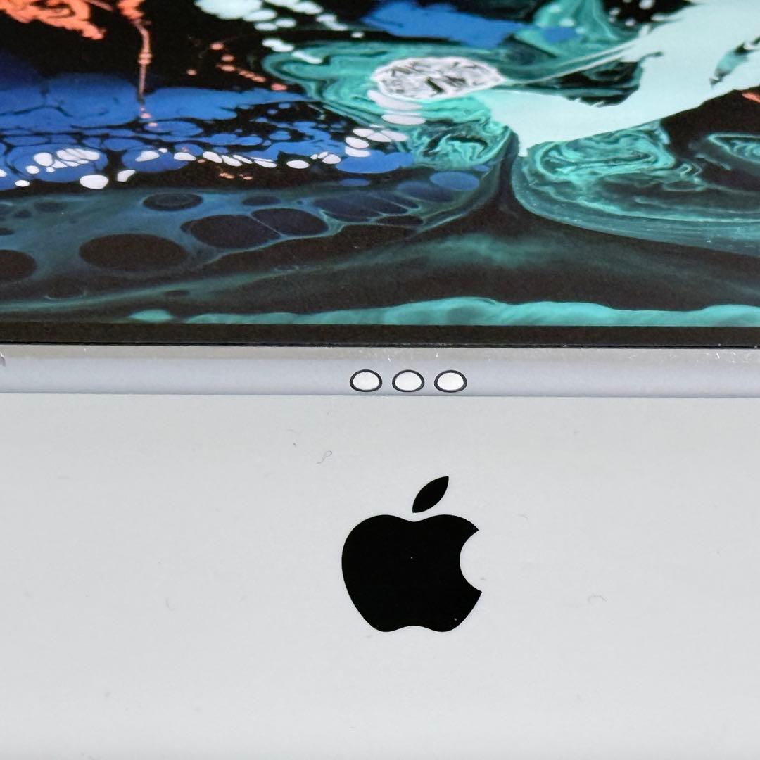 う*に様 美品 Apple iPad Pro 10.5インチ 256GB スペー