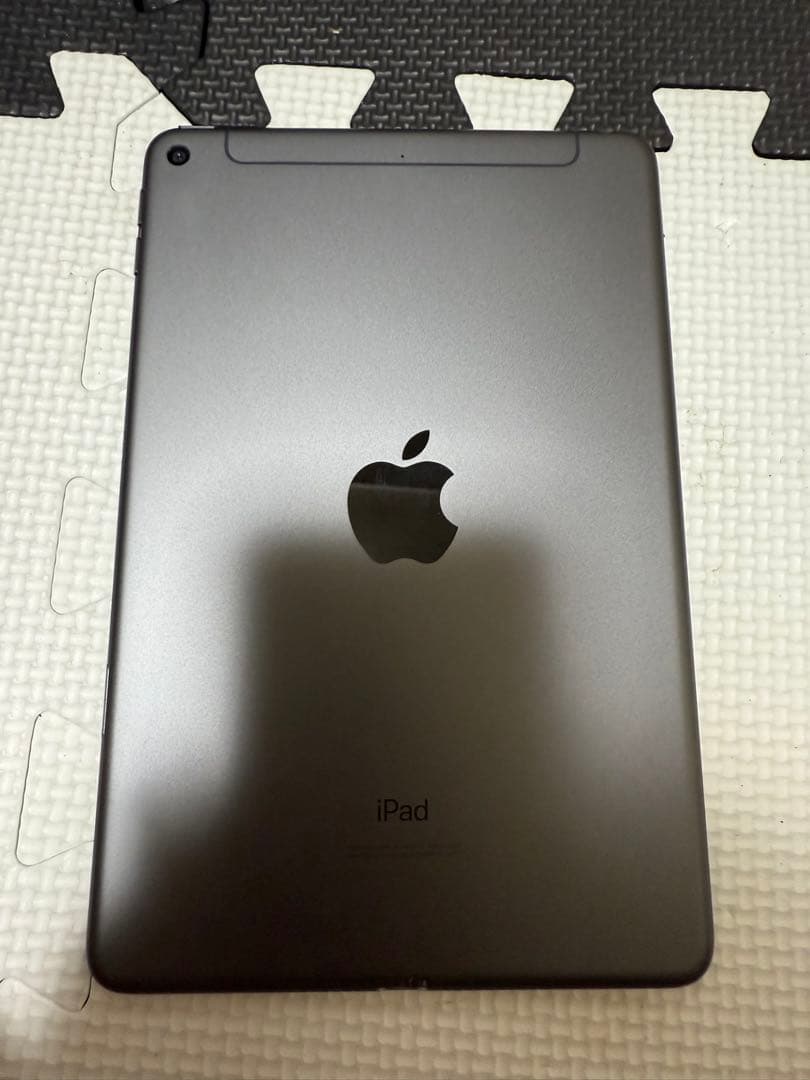 iPad本体 iPad mini 5 64GB Cellular Au