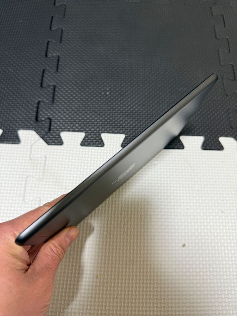 iPad本体 iPad mini 5 64GB Cellular Au