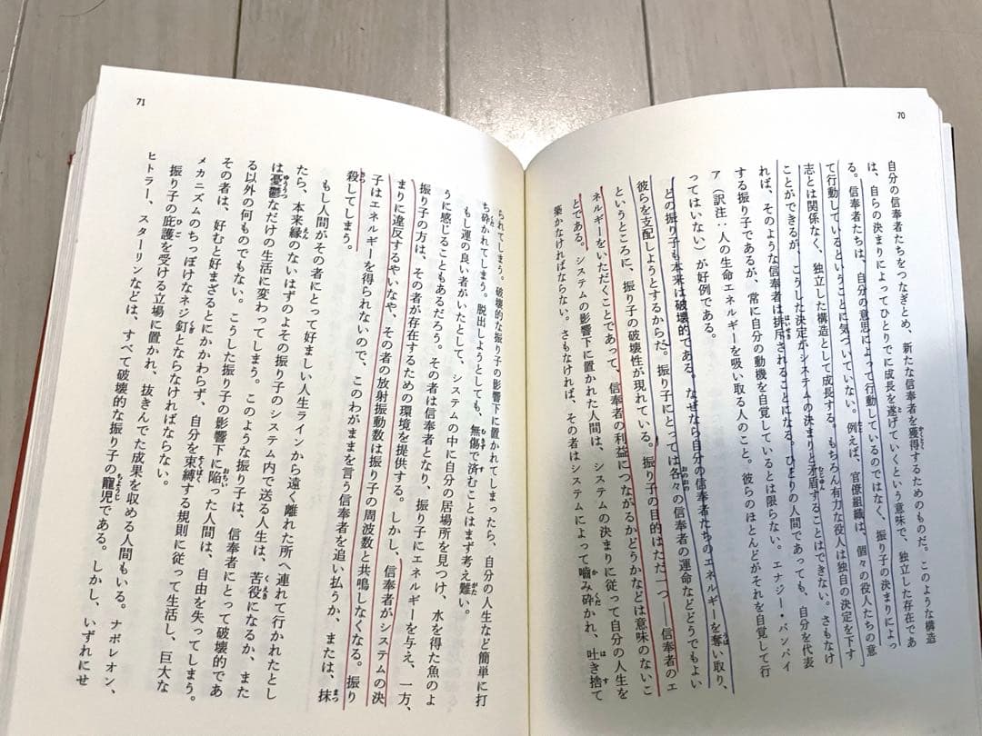 振り子の法則　リアリティ•トランサーフィン　ヴァジム・ゼランド