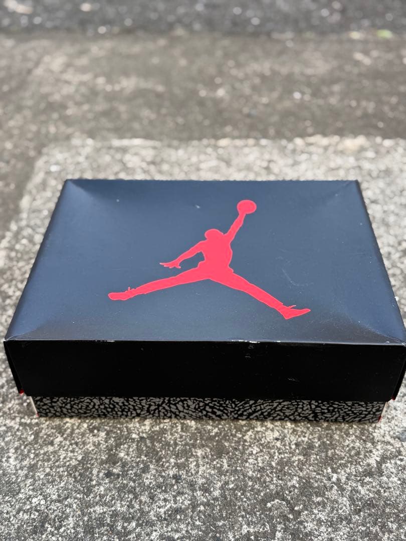 シューズ(男性用) AJ3 BLACK CAT