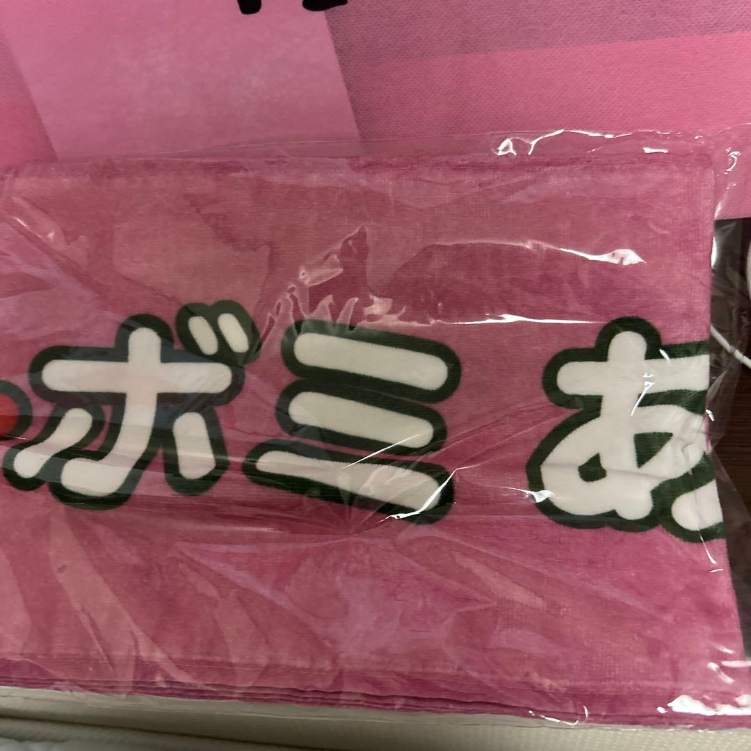 引退イボミスペシャルグッズセット【超レアイボミのマーチ、L版写真60枚弱】