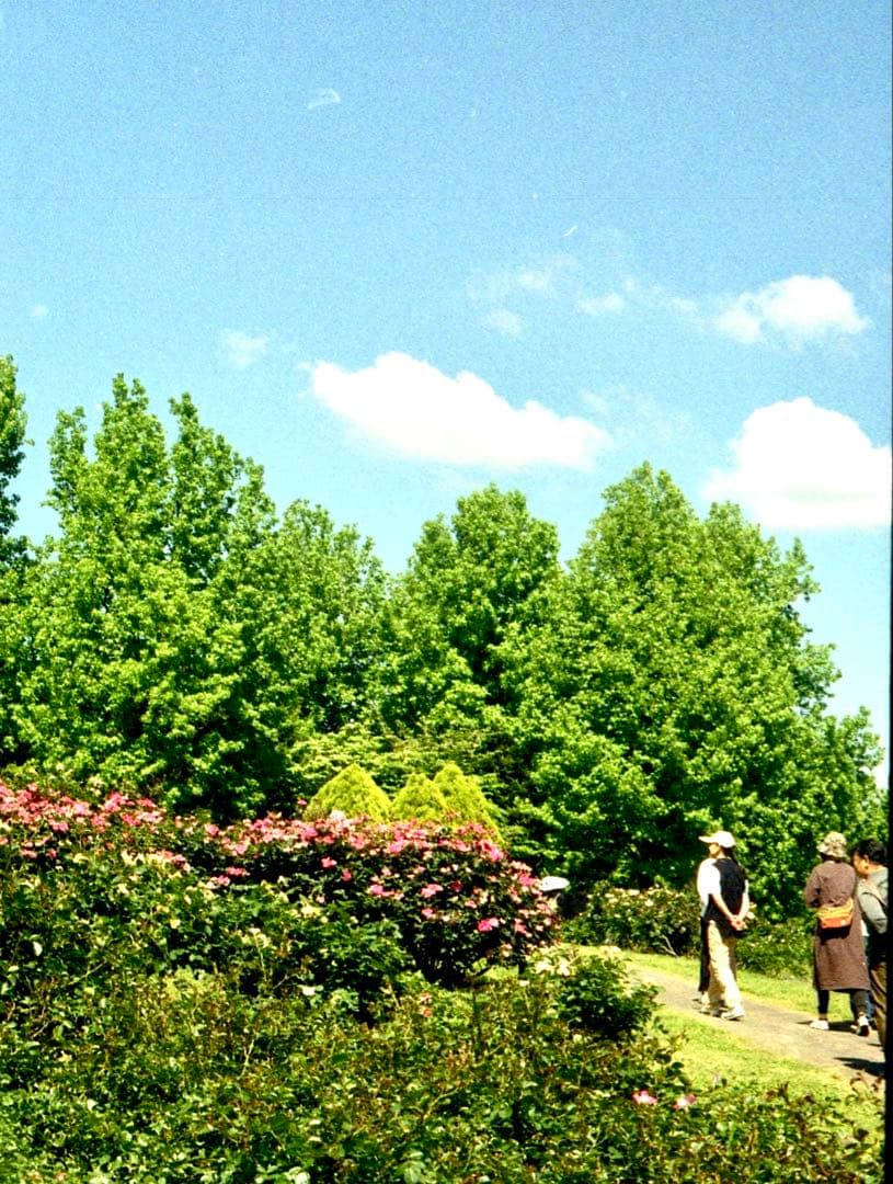 OLYMPUS PEN F 整備済み、完動美品　ボディのみ　NO.108542