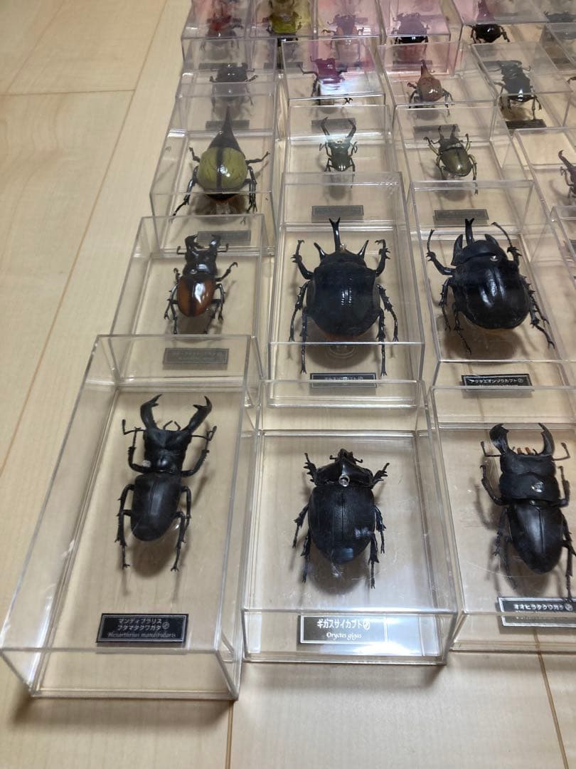 ディアゴスティーニ世界の昆虫全64種コンプリート　クワガタカブトムシ　フィギュア