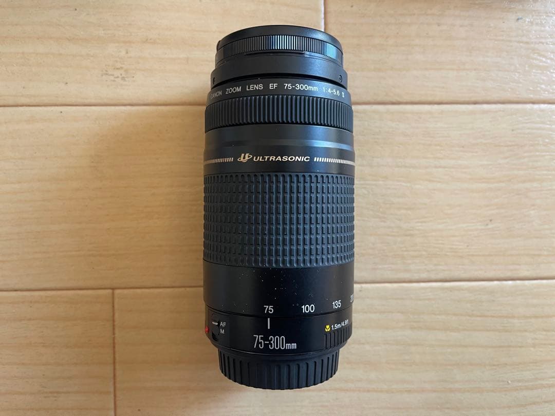 美品　Canon EOS Kiss X10