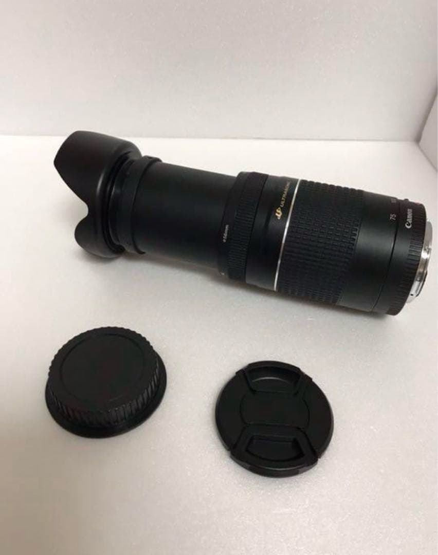 キャノン☆迫力の300㎜☆Canon EF75-300 F4-5.6 III
