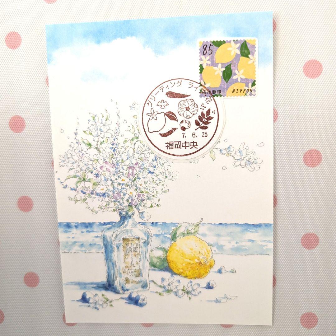 コレクション deen.like.live