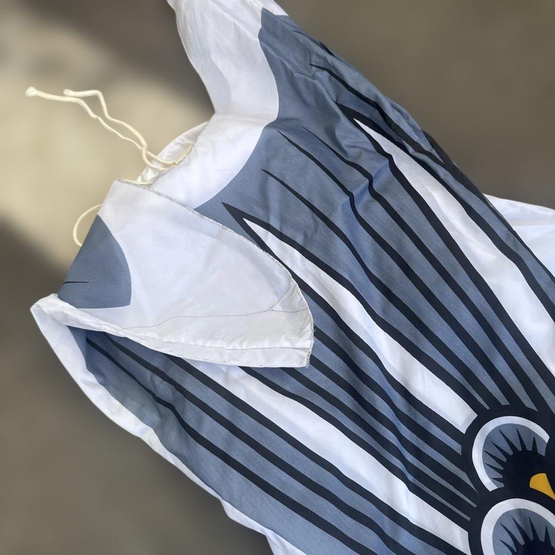 カラフル鯉のぼりセット　太郎鯉