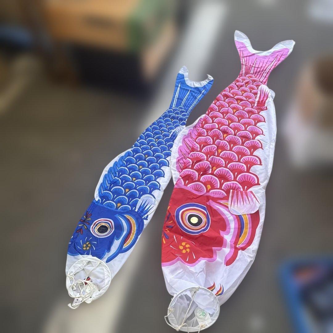 カラフル鯉のぼりセット　太郎鯉