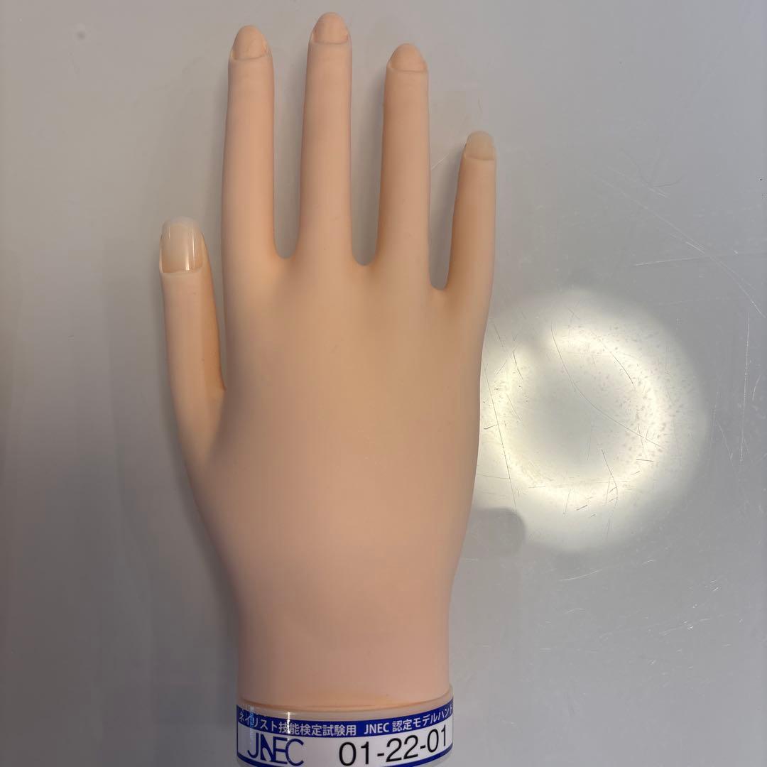 JNEC ネイルアート練習用手モデル 01-22-01