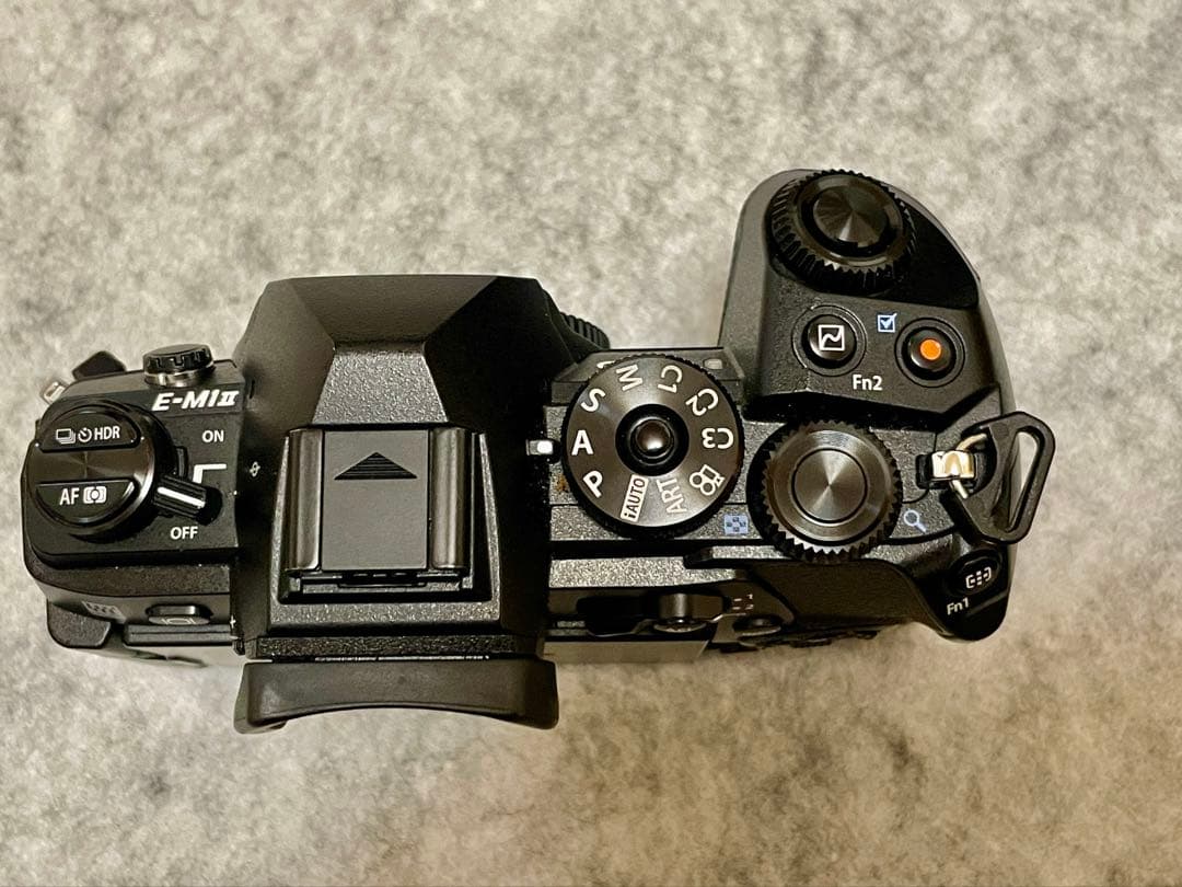 OLYMPUS OM-D E-M1 Mark I 本体