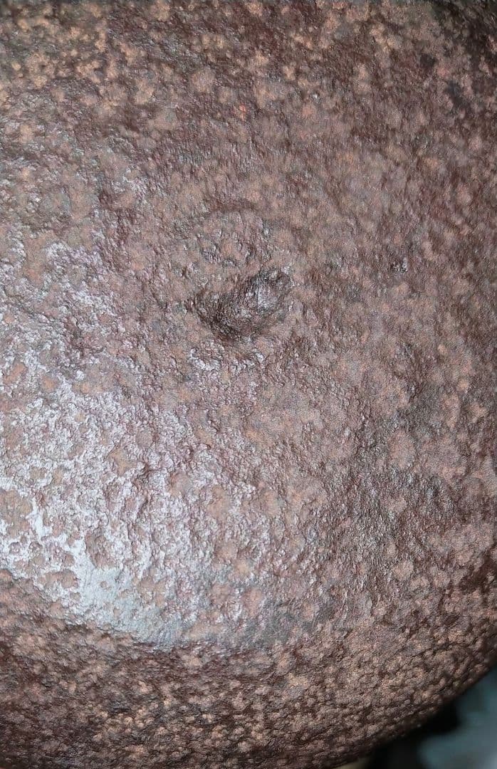 龍文堂　　鉄瓶