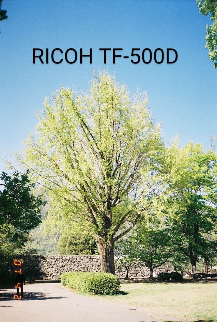 作例有りTD,T70,167MT,L35TW,TF500D,C-AF,EM