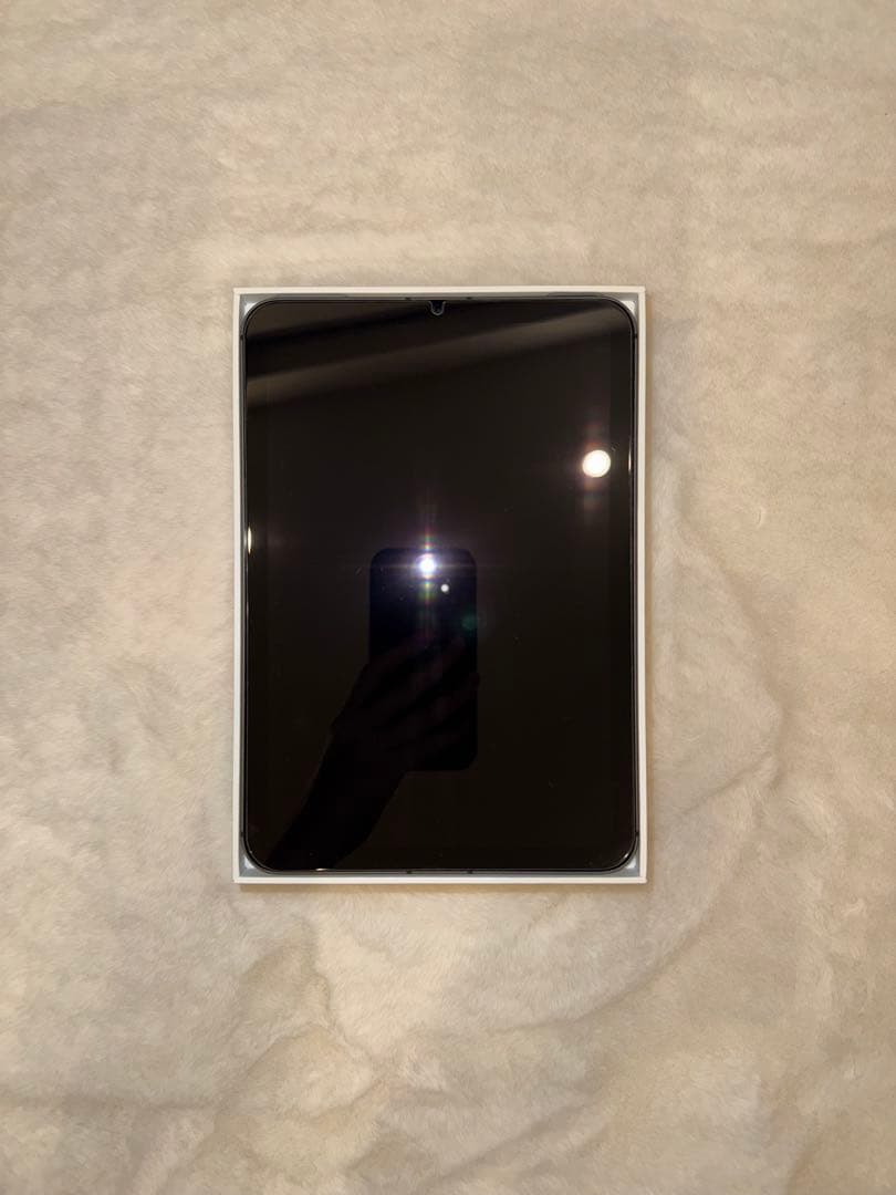 iPad mini 6世代 256GB セルラーモデル バッテリー最大容量88%