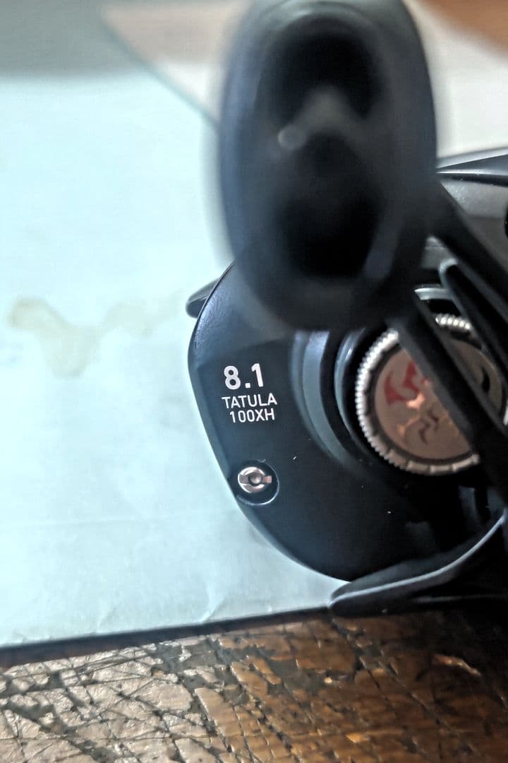 DAIWA 19タトゥーラ TW 100XHL 8.1