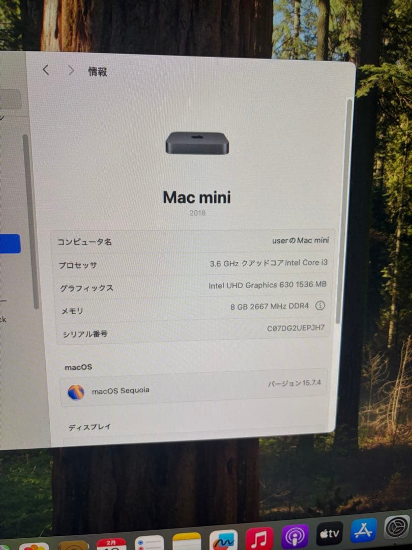 Macデスクトップ Apple Mac mini 2018 Sequoia 256GB