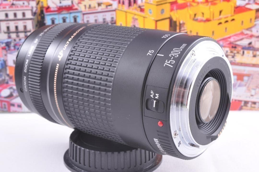 望遠レンズ Canon キヤノン EF75-300mm 想い出の瞬間 完動品