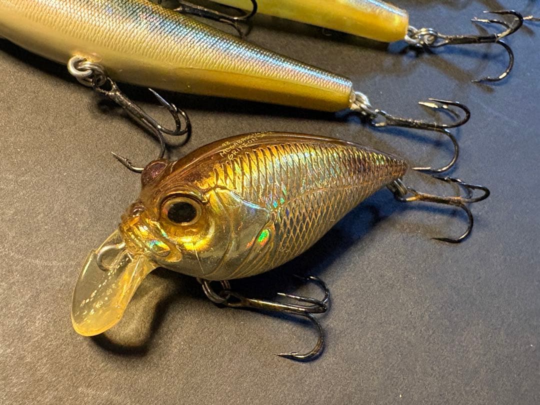 【MEGABASS】COAYU、POP-X など6個セット