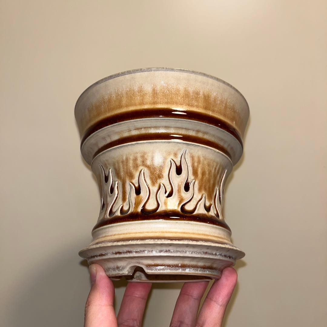 XL SIZE 植木鉢 作家鉢 アガベ グラキリス チタノタ 白鯨 黒火焔 陽炎