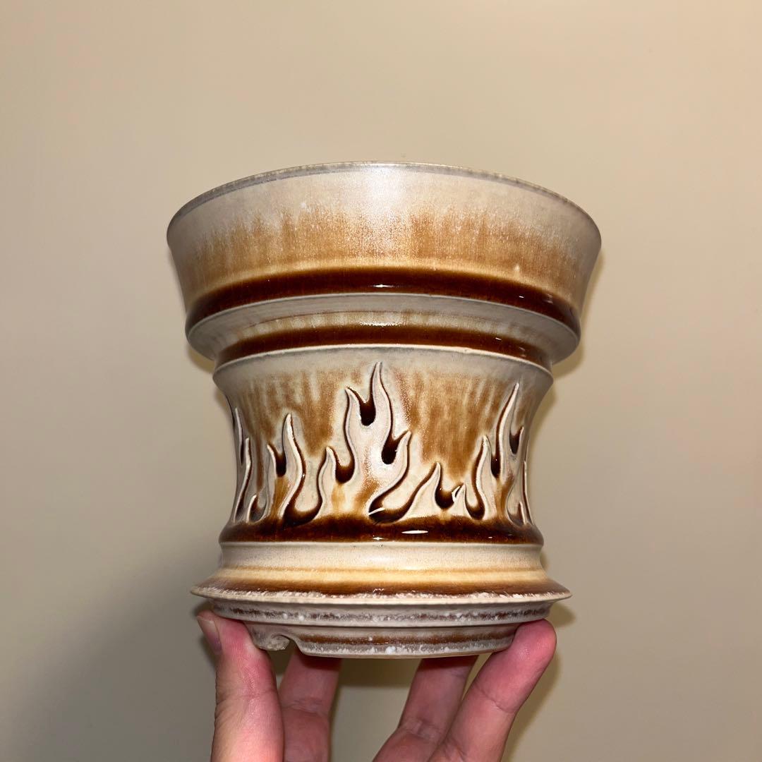 XL SIZE 植木鉢 作家鉢 アガベ グラキリス チタノタ 白鯨 黒火焔 陽炎