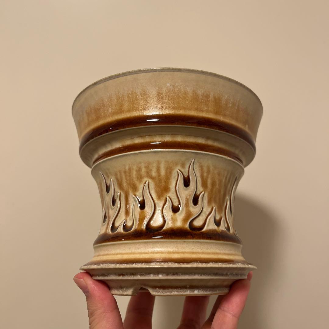 XL SIZE 植木鉢 作家鉢 アガベ グラキリス チタノタ 白鯨 黒火焔 陽炎