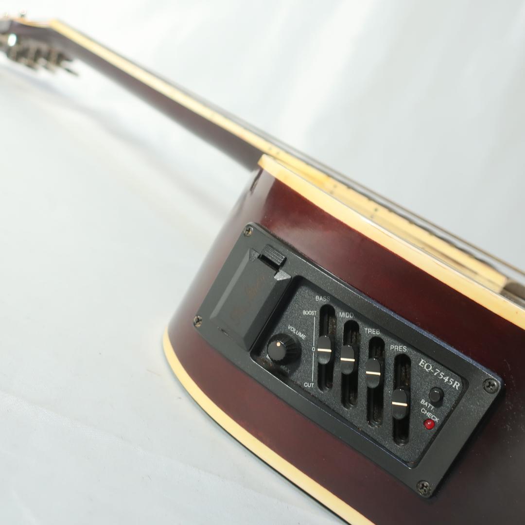 Pro Martin EAW-350 WRS エレアコ ギター ケース付