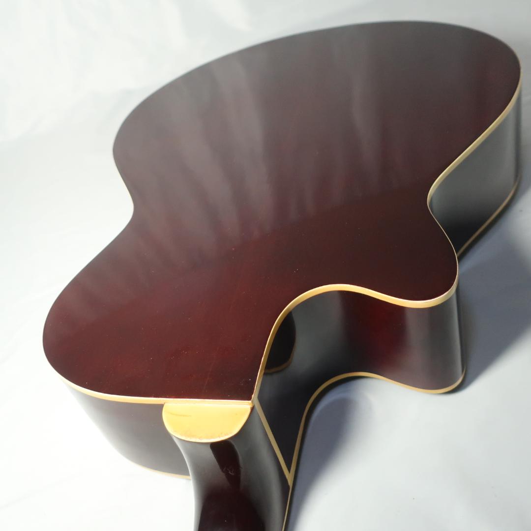 Pro Martin EAW-350 WRS エレアコ ギター ケース付