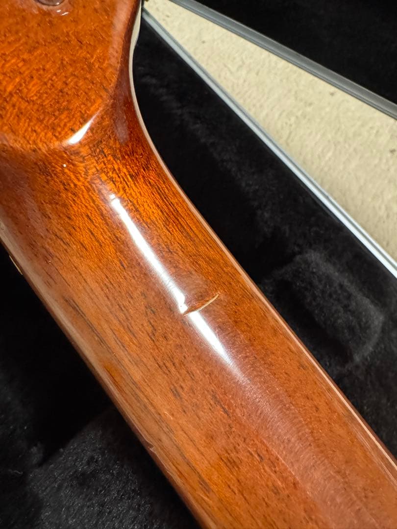 Takamine TDP615-6 BL エレアコ