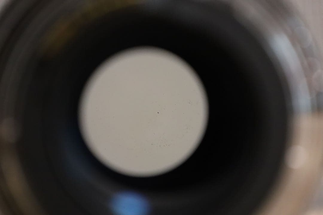 CANON EF 100mm F2.8 マクロ