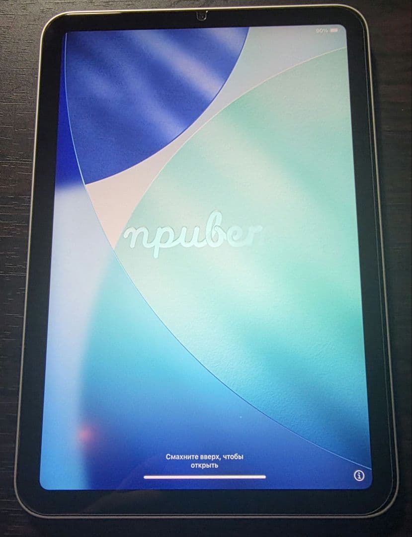 Apple iPad mini 6 256GB WiFiモデル