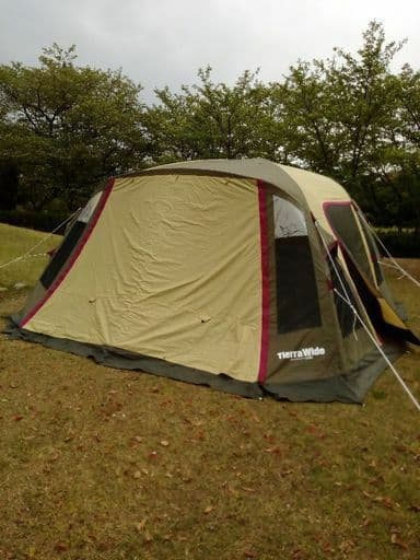 ティエラワイド